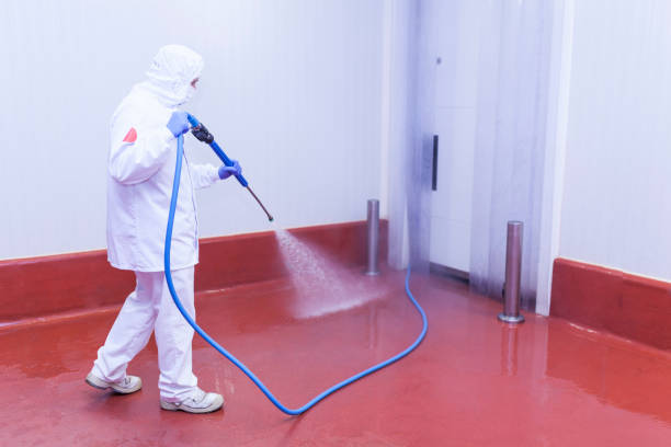 Best Rust and Stain Removal in Chatmoss, VA